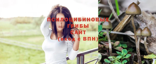 каннабис Алзамай