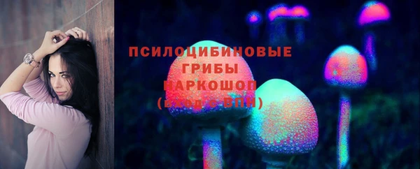 прущие грибы Кулебаки