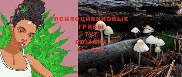 сатива Абаза