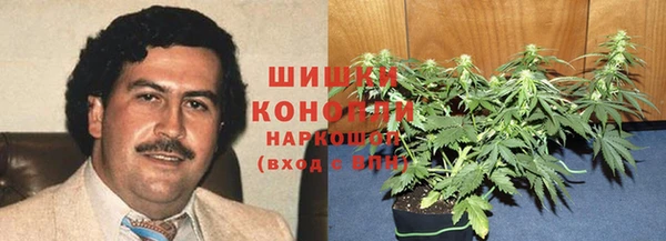 прущие грибы Кулебаки